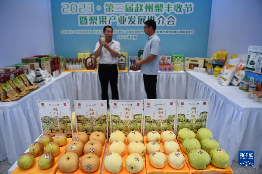 金钱豹黑平台